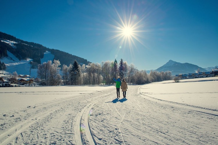 Winterwandern auf gut präparierten Wegen neben der Langlaufloipe