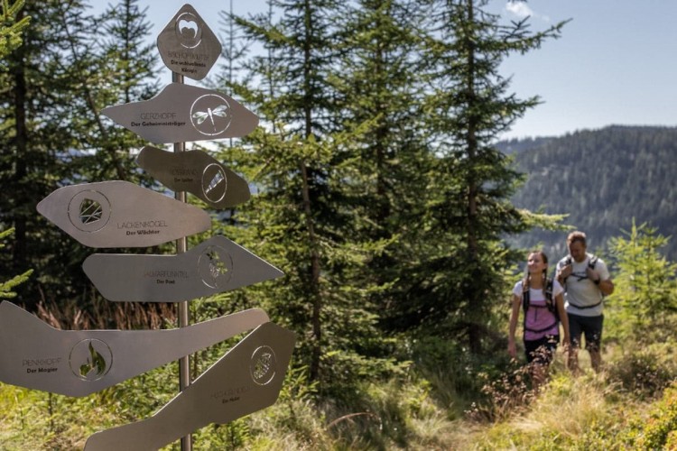 Spielerisches Wandern für die ganze Familie mit dem Salzburger Gipfelspiel