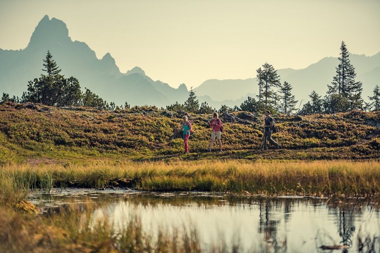Wandern zum Gerzkopf vorbei an der Schwarzen Lacke